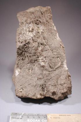 Tridymite