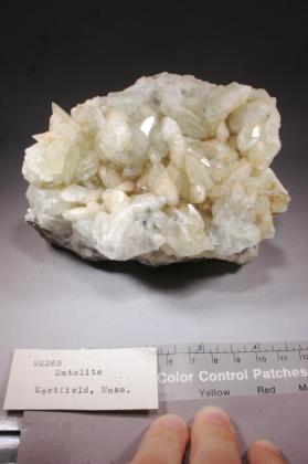 DATOLITE