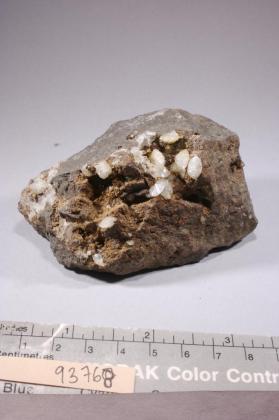 phacolite