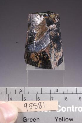 shungite