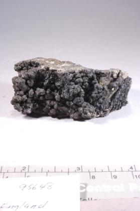 Bornite