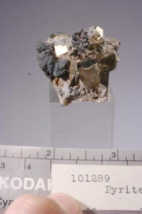 Pyrite