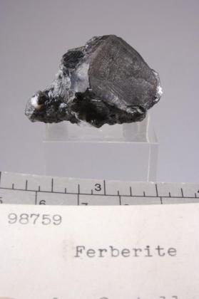 Ferberite