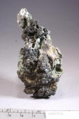 Bornite