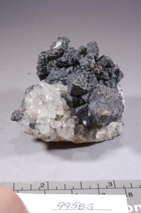 Acanthite with CALCITE and very minor ruby silver