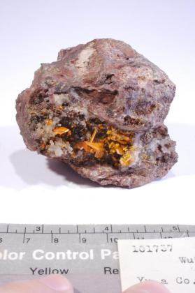 Wulfenite