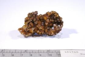 Wulfenite