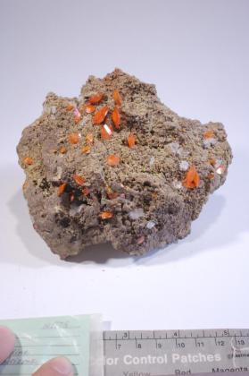 Wulfenite