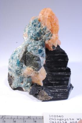Phlogopite with CALCITE and DIOPSIDE and FLUORAPATITE
