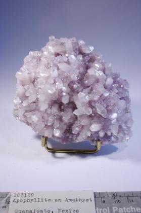 Apophyllite-(KOH) with amethyst