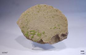 Tangeite