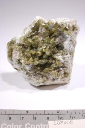 VESUVIANITE