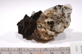 Chalcocite