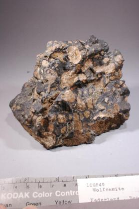 Ferberite