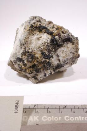 Xanthoconite