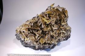 Wulfenite