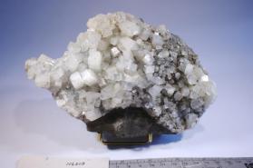 Apophyllite