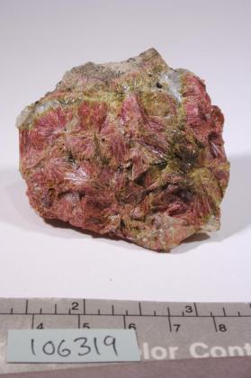 Clinozoisite