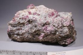 rhodolite