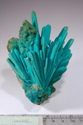 CHRYSOCOLLA