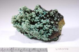 CHRYSOCOLLA