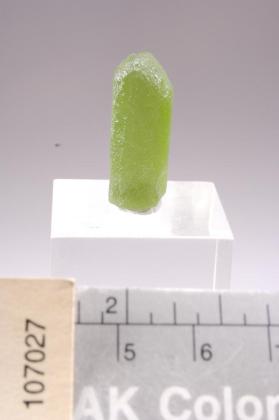 FORSTERITE