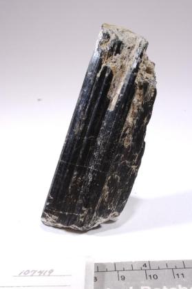 Hornblende