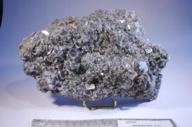 Apophyllite