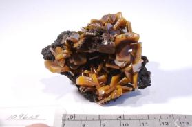 Wulfenite