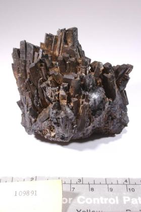 HEDENBERGITE