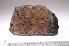 Tephroite with Braunite