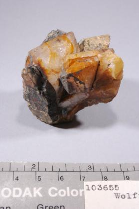 Ferberite with Quartz