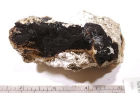 Djurleite