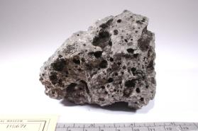 Hornblende