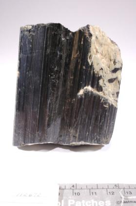 Hornblende