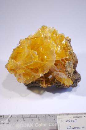 Wulfenite