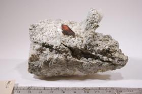 Brookite