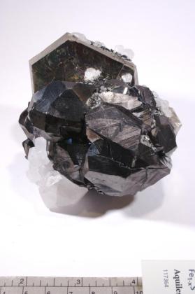 Pyrrhotite with SPHALERITE