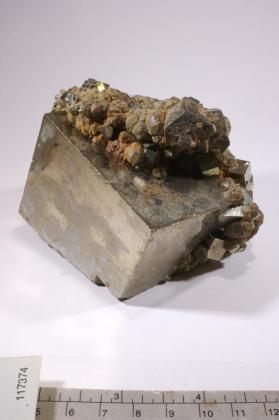 Pyrite with ANDRADITE