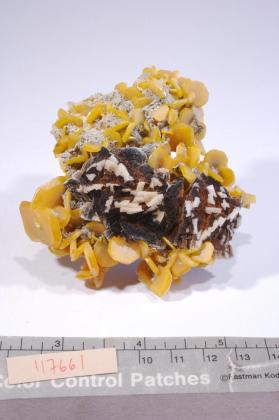 Wulfenite