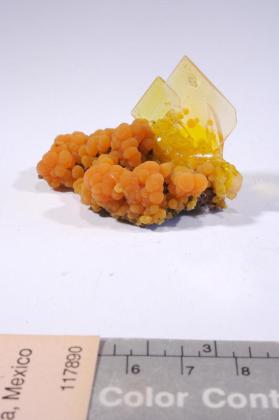 Wulfenite with Mimetite