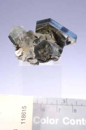 Muscovite