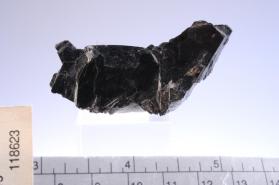 Zinnwaldite