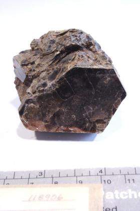 Phlogopite