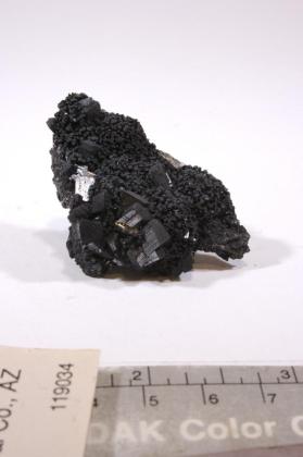 Ramsdellite