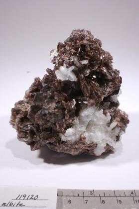 Axinite-(Fe) with Albite