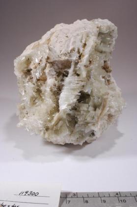 Pectolite