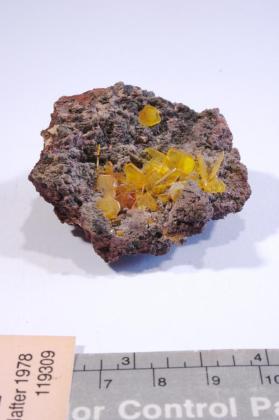 Wulfenite