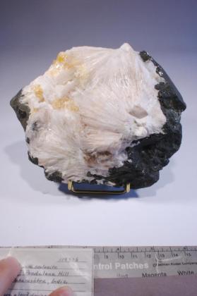 Powellite