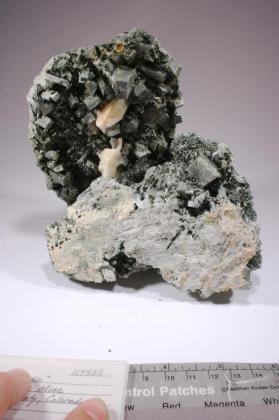 Actinolite